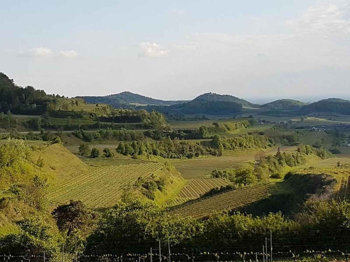 Apartamento Feriendomizil Bergamini Bischoffingen Exterior foto